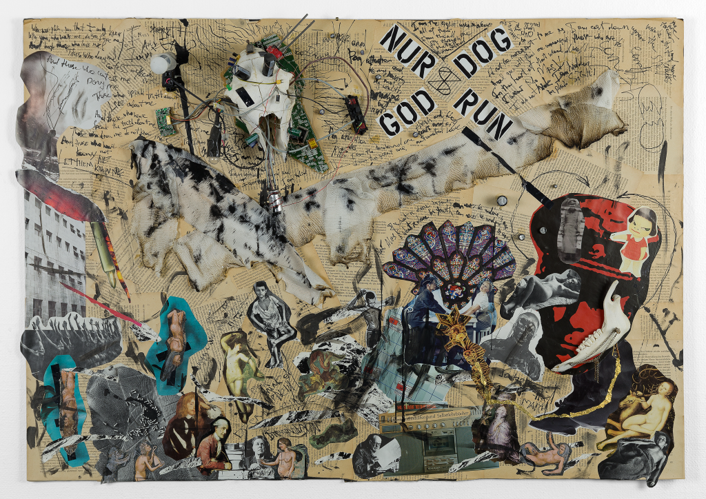 This mixed media artwork combines collage and text to create a visually compelling narrative. The piece features various elements such as a skull with electronic components, handwritten notes, and a variety of cut-out images including historical figures, anatomical drawings, and abstract shapes. The text "NUR DOG GOD RUN" is prominently displayed, adding an enigmatic layer to the composition. The artwork uses a blend of colors and textures to evoke themes of technology, mortality, and human experience, inviting viewers to delve into its intricate and thought-provoking details. Art of Cometh Nursse.